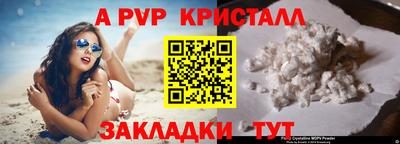 стаф Нарткала