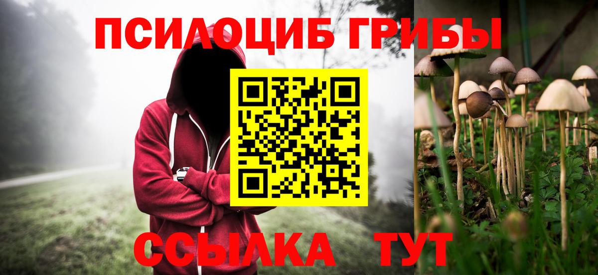 Великий Новгород  Псилоцибиновые грибы Psilocybine cubensis  Галлюциногенные грибы GOLDEN TEACHER  Вход с VPN 